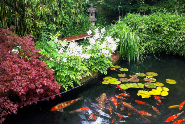 Taman air dengan kolam ikan yang menambah keindahan